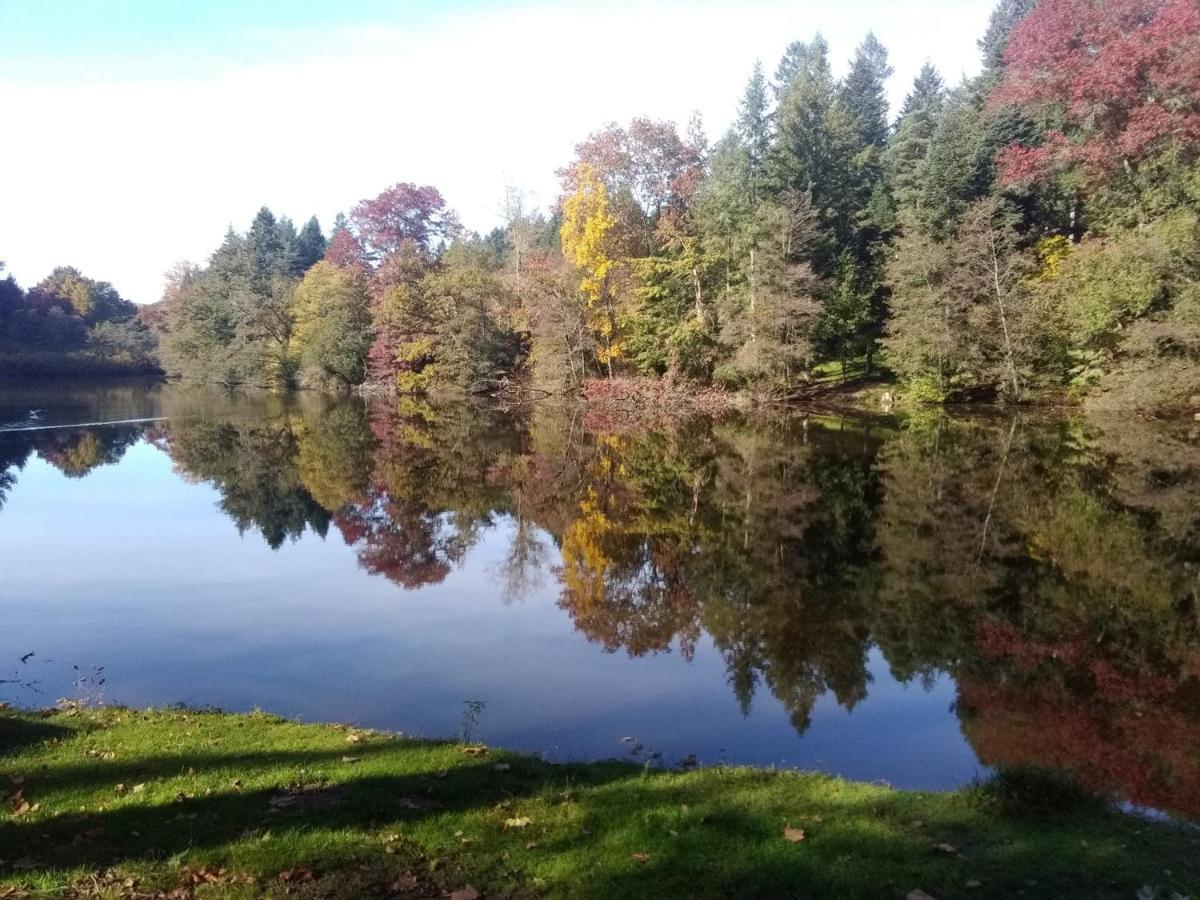 Gite De L'Arboretum Dompierre-les-Ormes Buitenkant foto